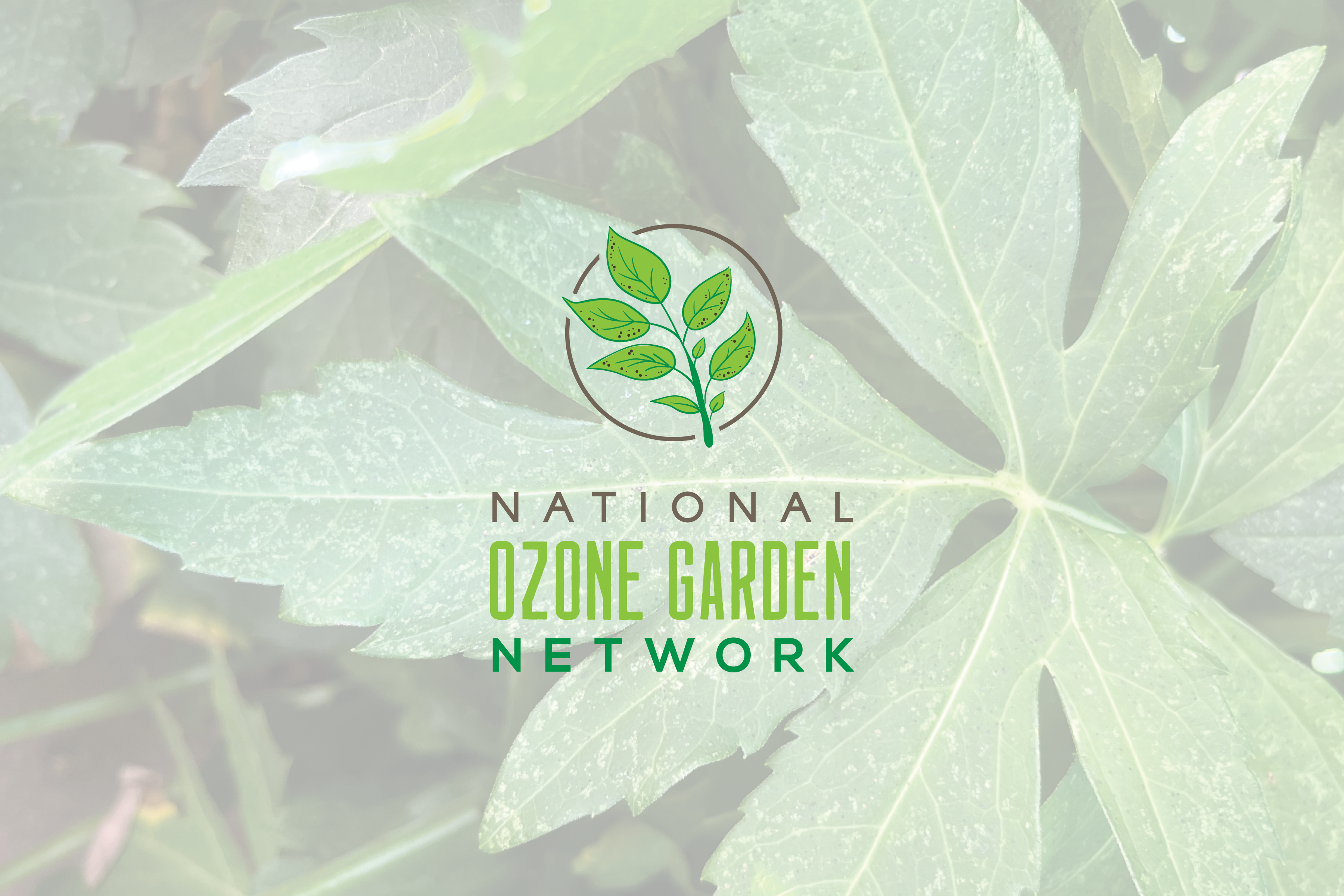 National Ozone Garden Network (NOGN) Logo